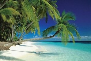 Ein Strand mit weißem Sand und klarem türkisblauem Wasser.