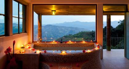 Yumbo Love Experience