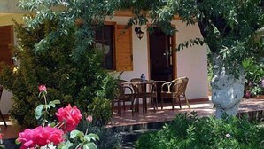 Une terrasse extérieure avec une table et des chaises, entourée d’une végétation luxuriante et de plantes en fleurs.