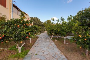 Property grounds - Holiday Rooms (Kea)