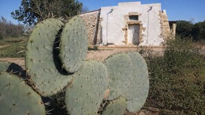 A building with a stone facade and a wooden door, surrounded by cacti and sparse vegetation. - I Mulicchi (Specchia)