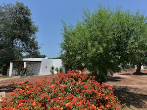 Comfort Double Room | Garden - I Mulicchi (Specchia)