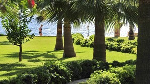 Een verzorgde tuin met palmbomen, een pad en uitzicht op zee.