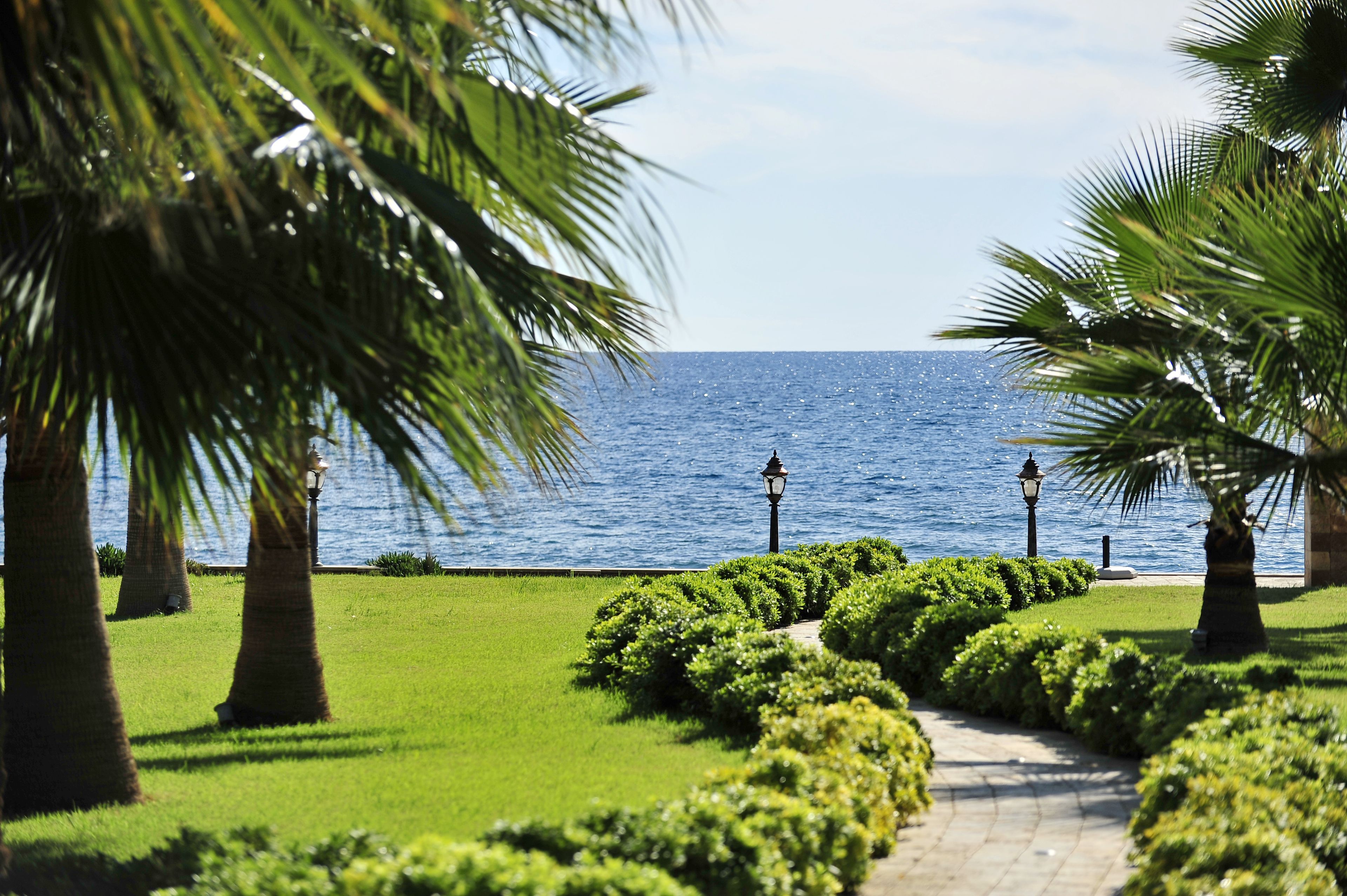 A pathway leading to a body of water, flanked by palm trees and well-maintained greenery.