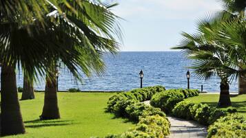A pathway leading to a body of water, flanked by palm trees and well-maintained greenery.