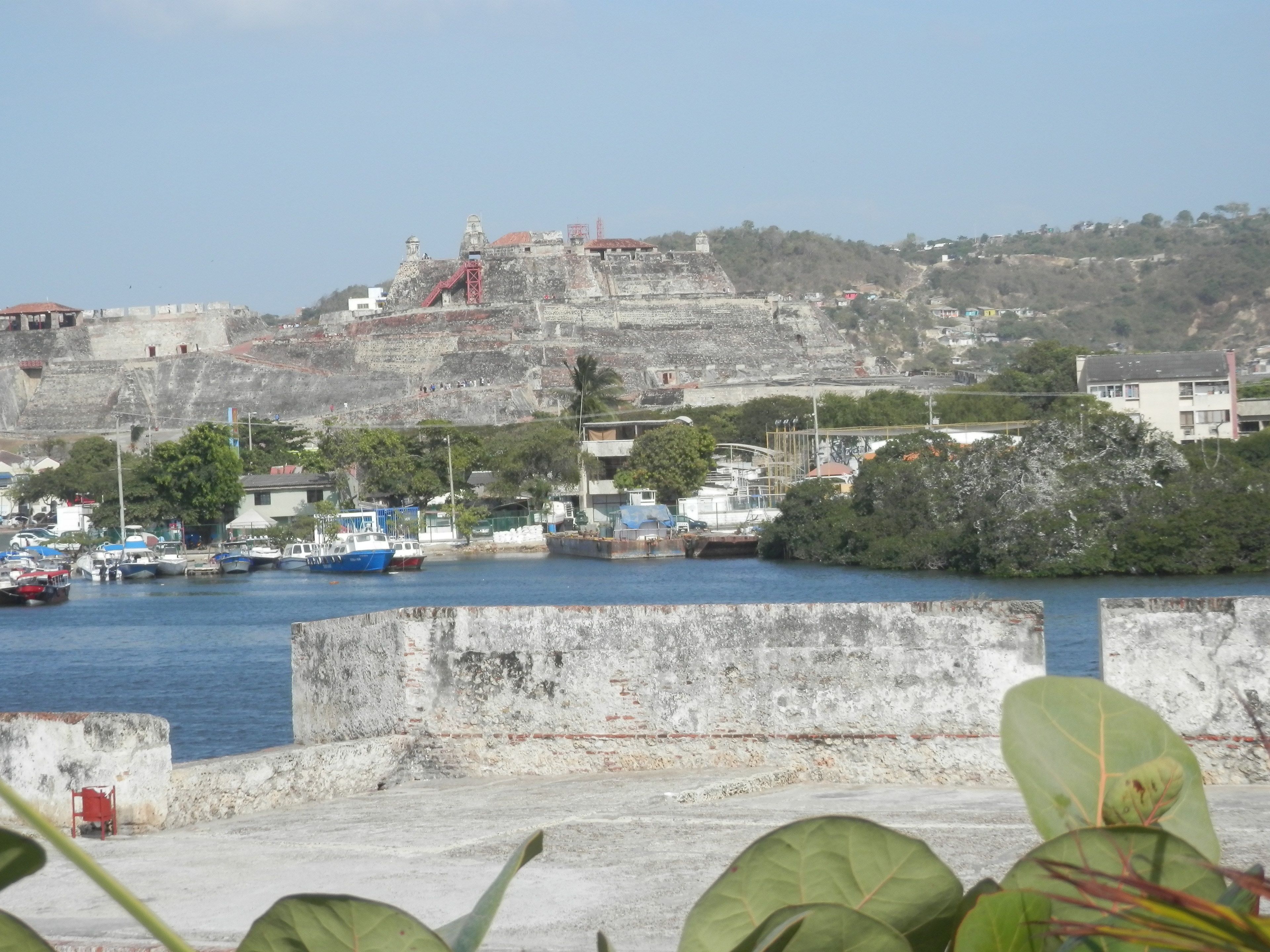 Photo - Patio de Getsemani