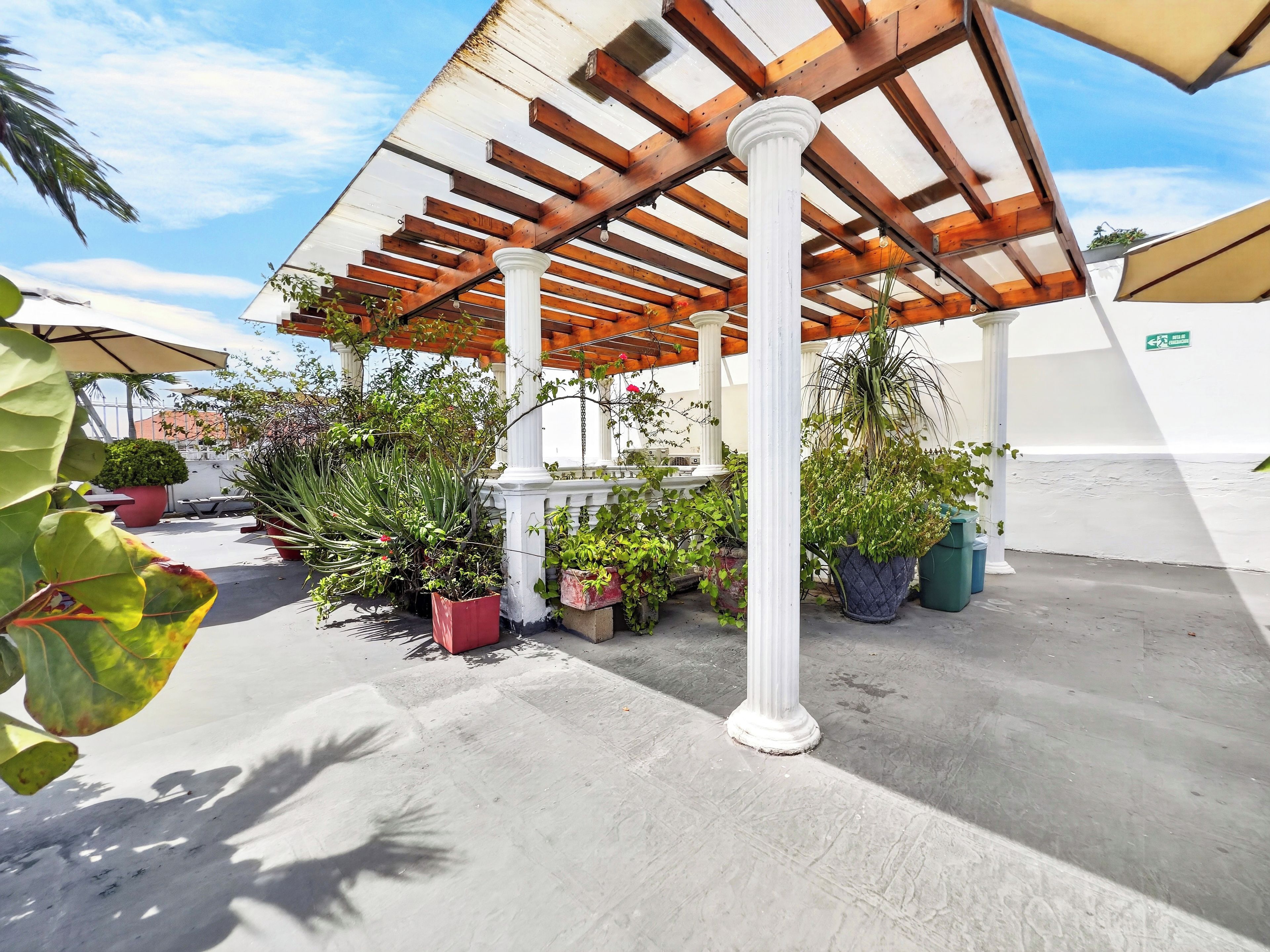 Un espacio al aire libre techado con una pérgola de madera, plantas en macetas y piso de concreto.