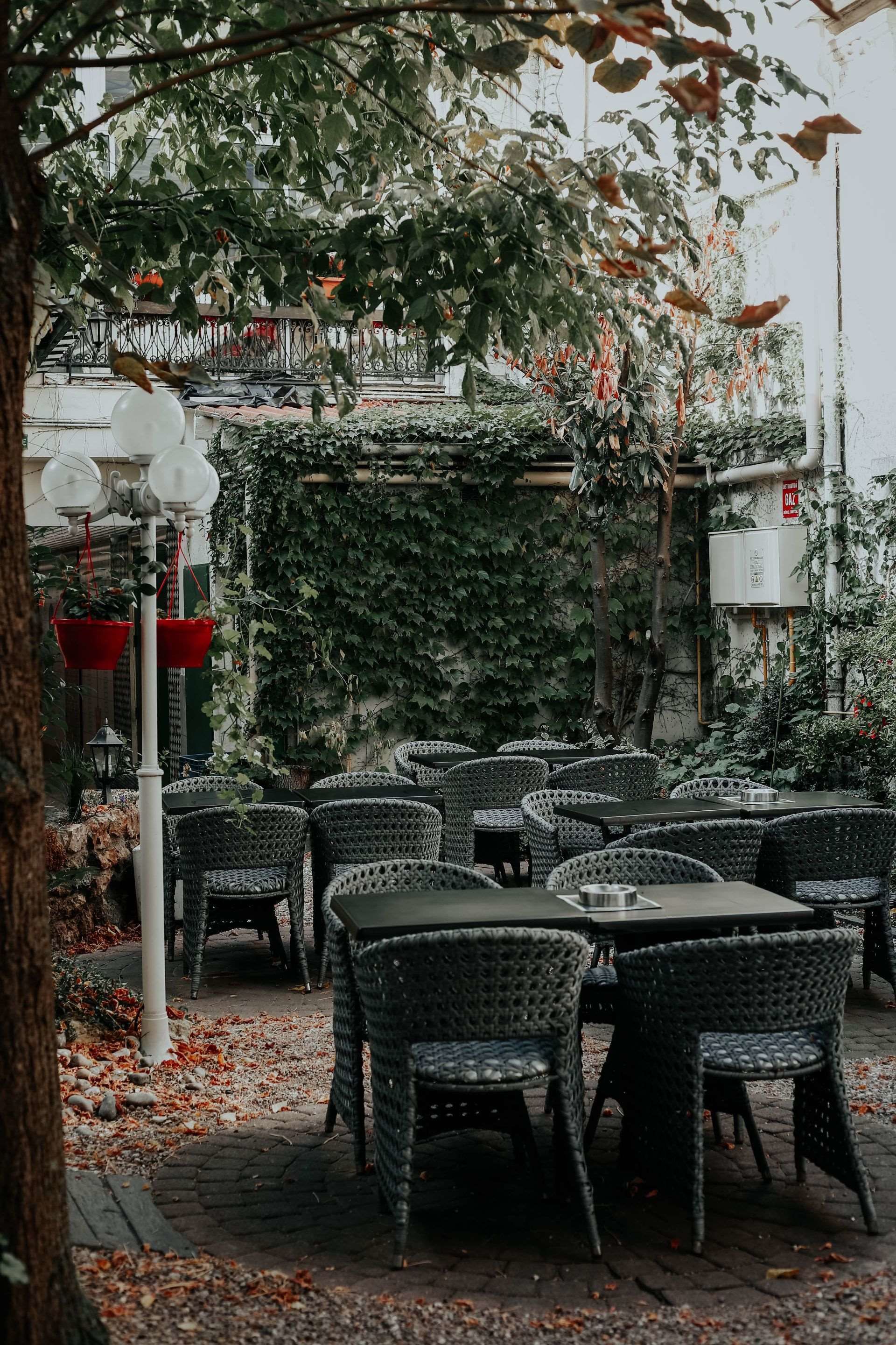 Un espace extérieur aménagé avec des tables et des chaises en osier, entouré de verdure et surmonté d’une pergola.