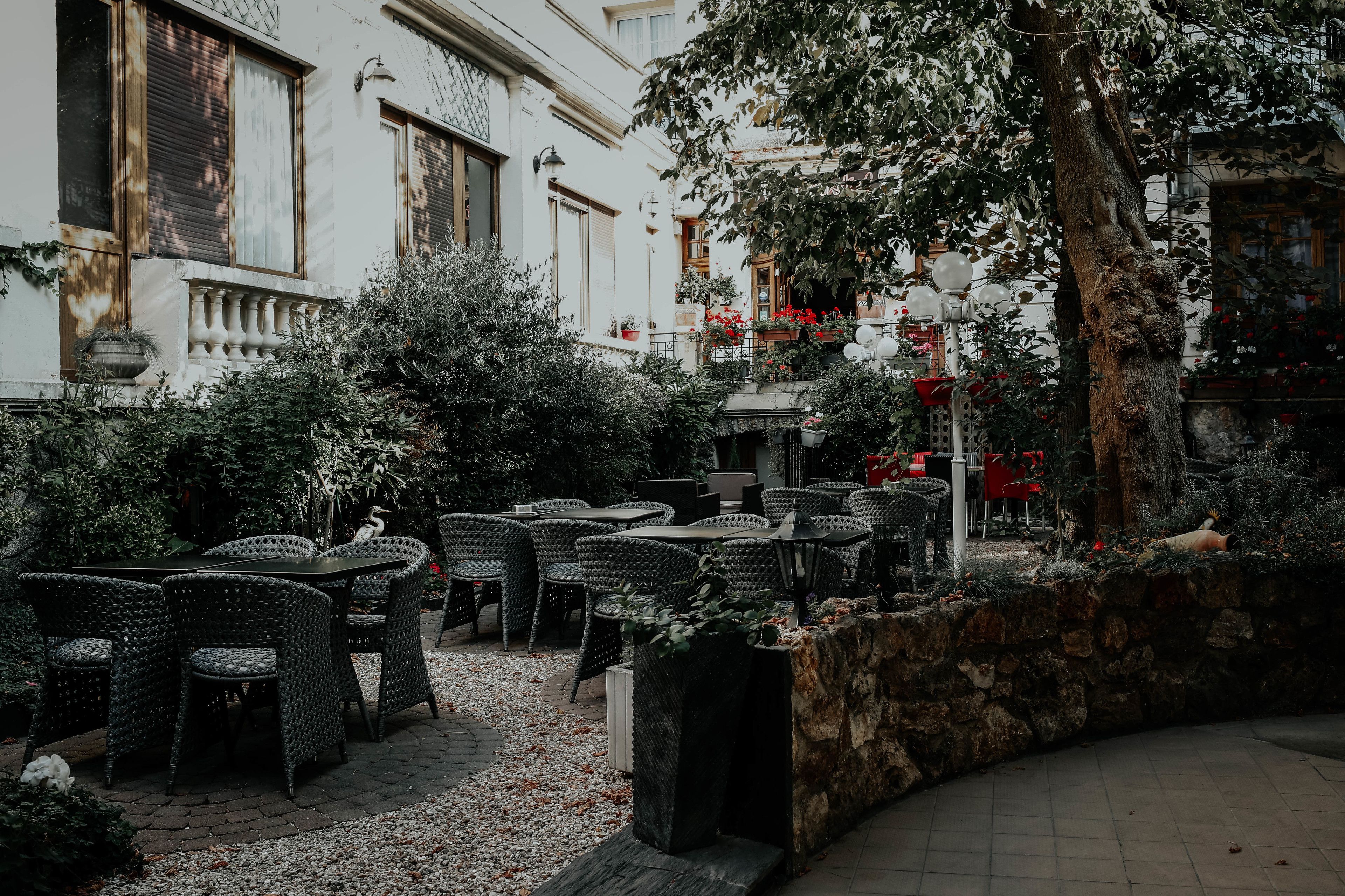 Un espace extérieur aménagé avec des meubles en osier, un mur en pierre et un arbre.