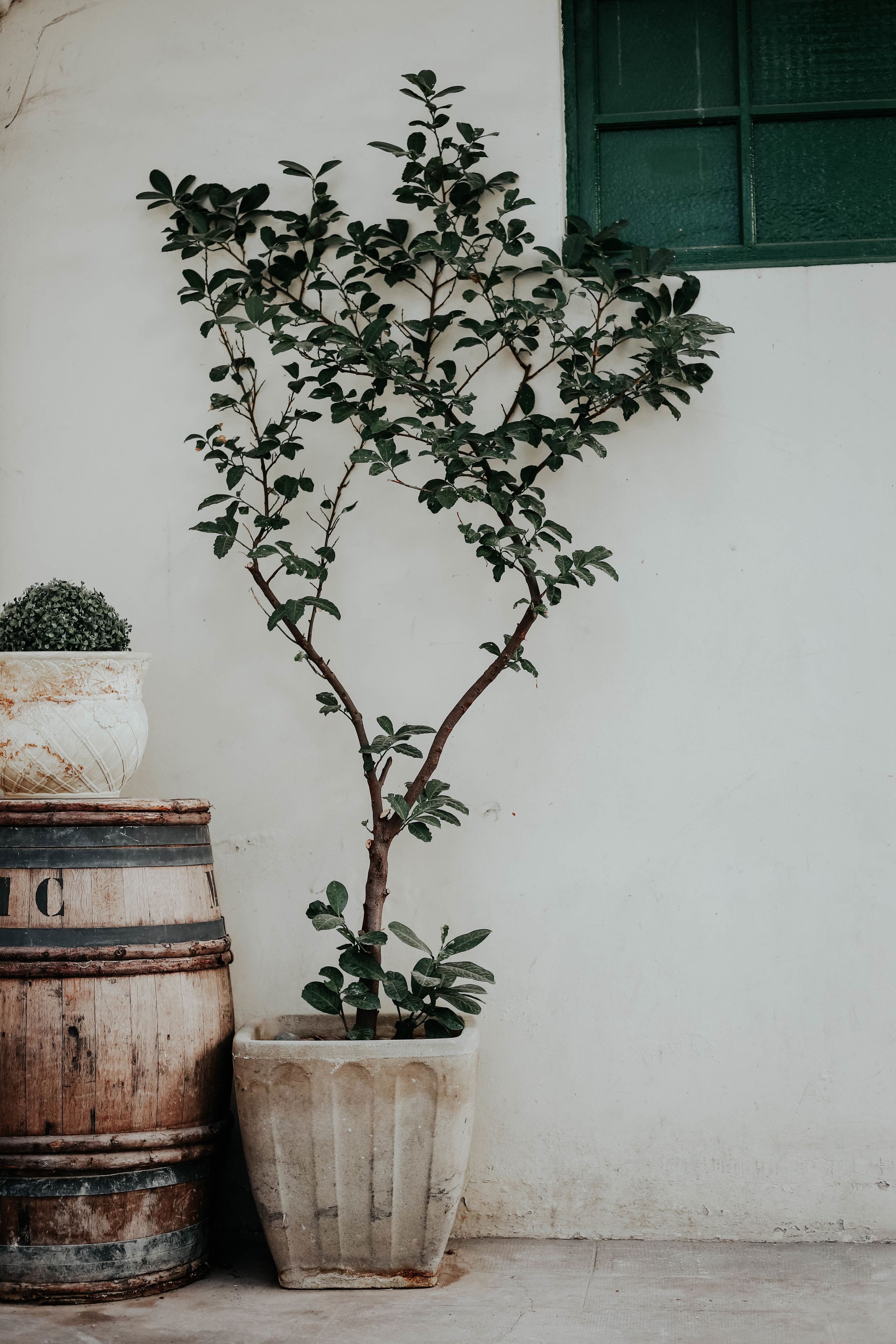 Foto - Hôtel Crystal Reims Centre