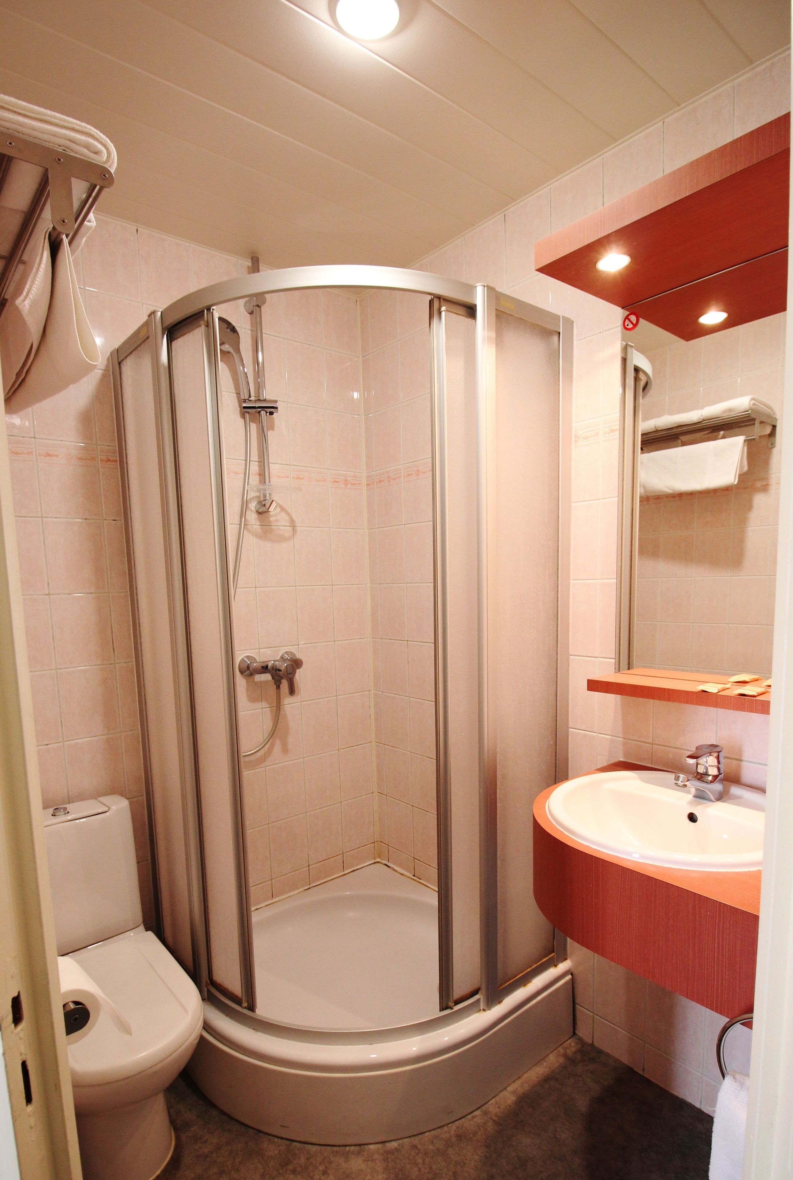 A corner shower with a glass door, a white toilet, and a sink with a wooden countertop.