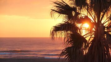 A sunset over the ocean with palm trees silhouetted against the sky.