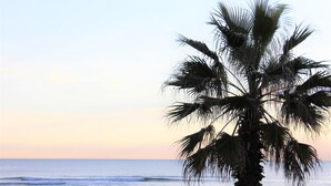 A beach with a palm tree and ocean waves.
