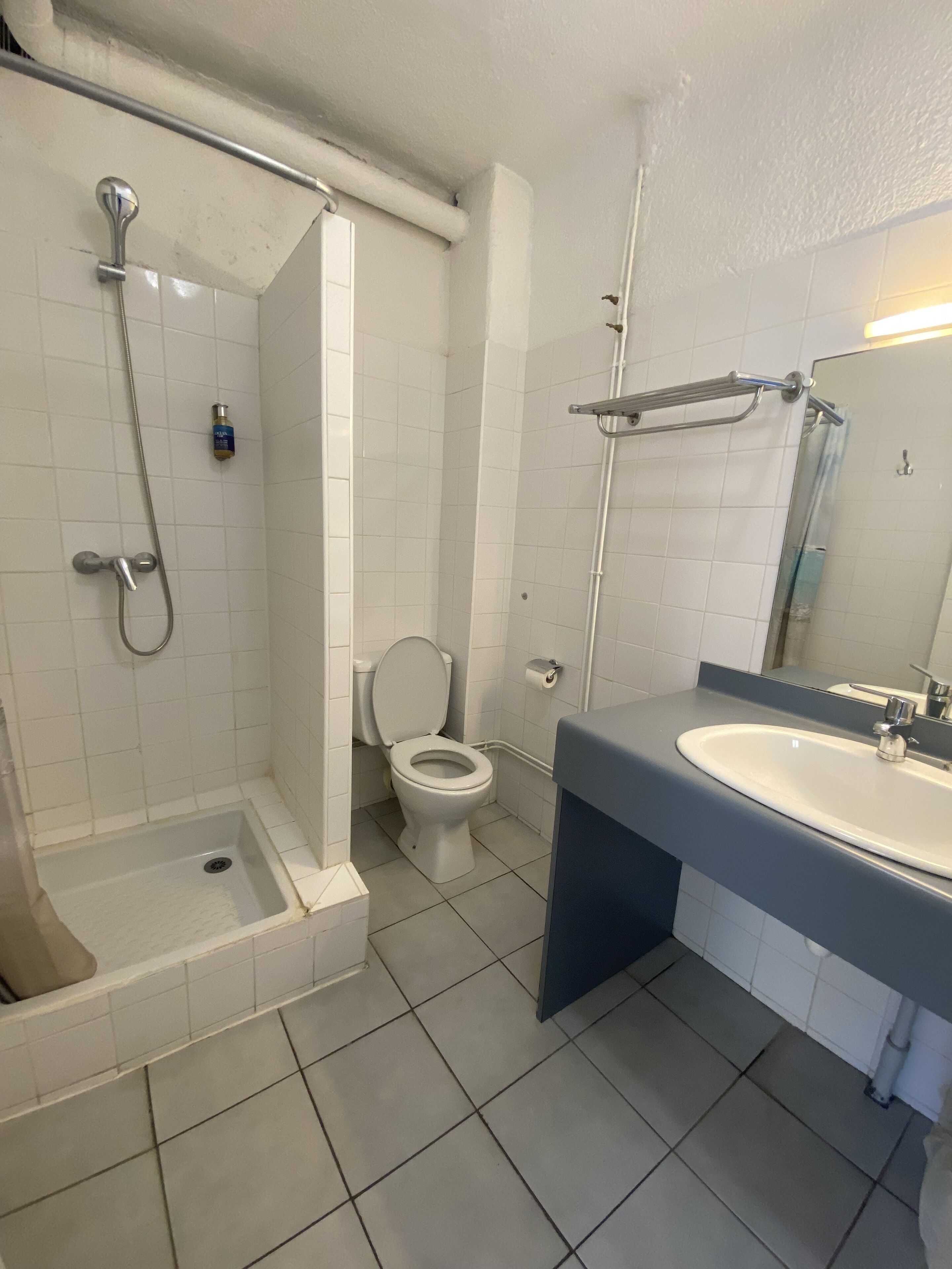 Une salle de bain avec douche, toilettes et lavabo.