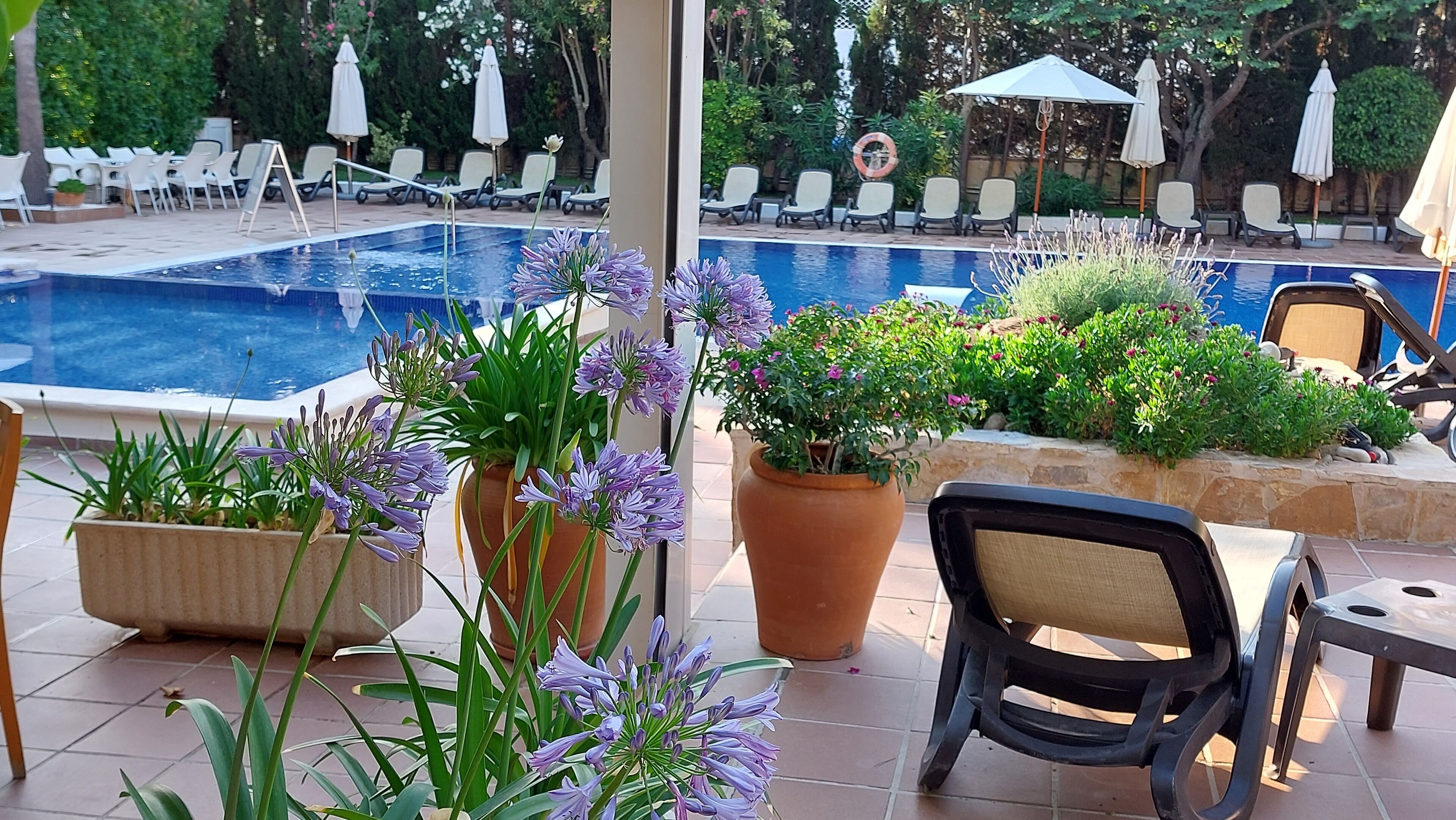 Foto - Hotel ROC Oberoy - Adults Only