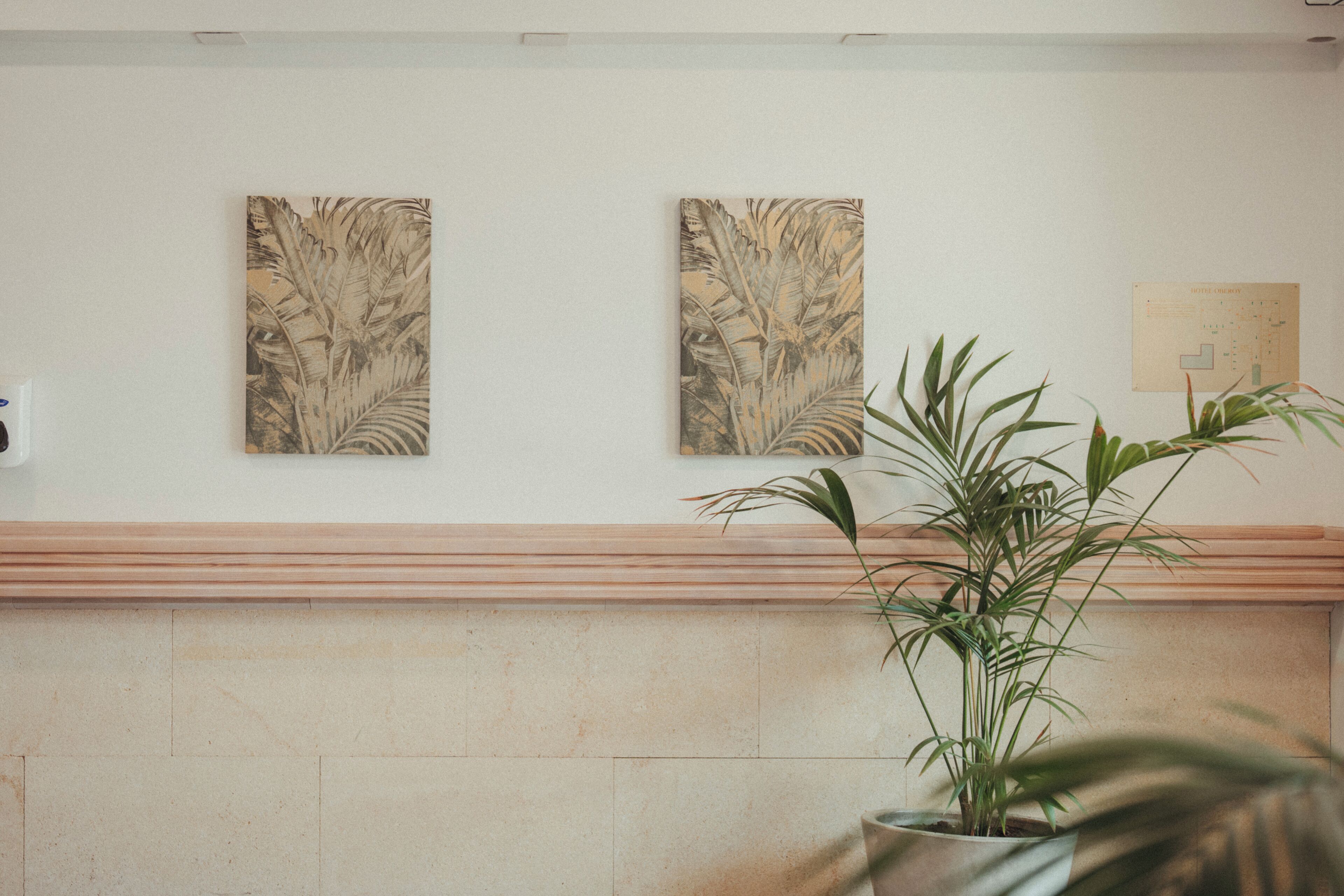 Photo - ROC Oberoy - Adults Only