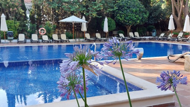 Piscina con sillas de descanso y sombrillas, rodeada de árboles y plantas.