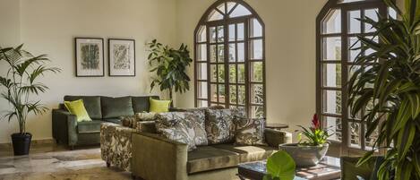 A spacious living room with a green sofa, a coffee table, and several potted plants.