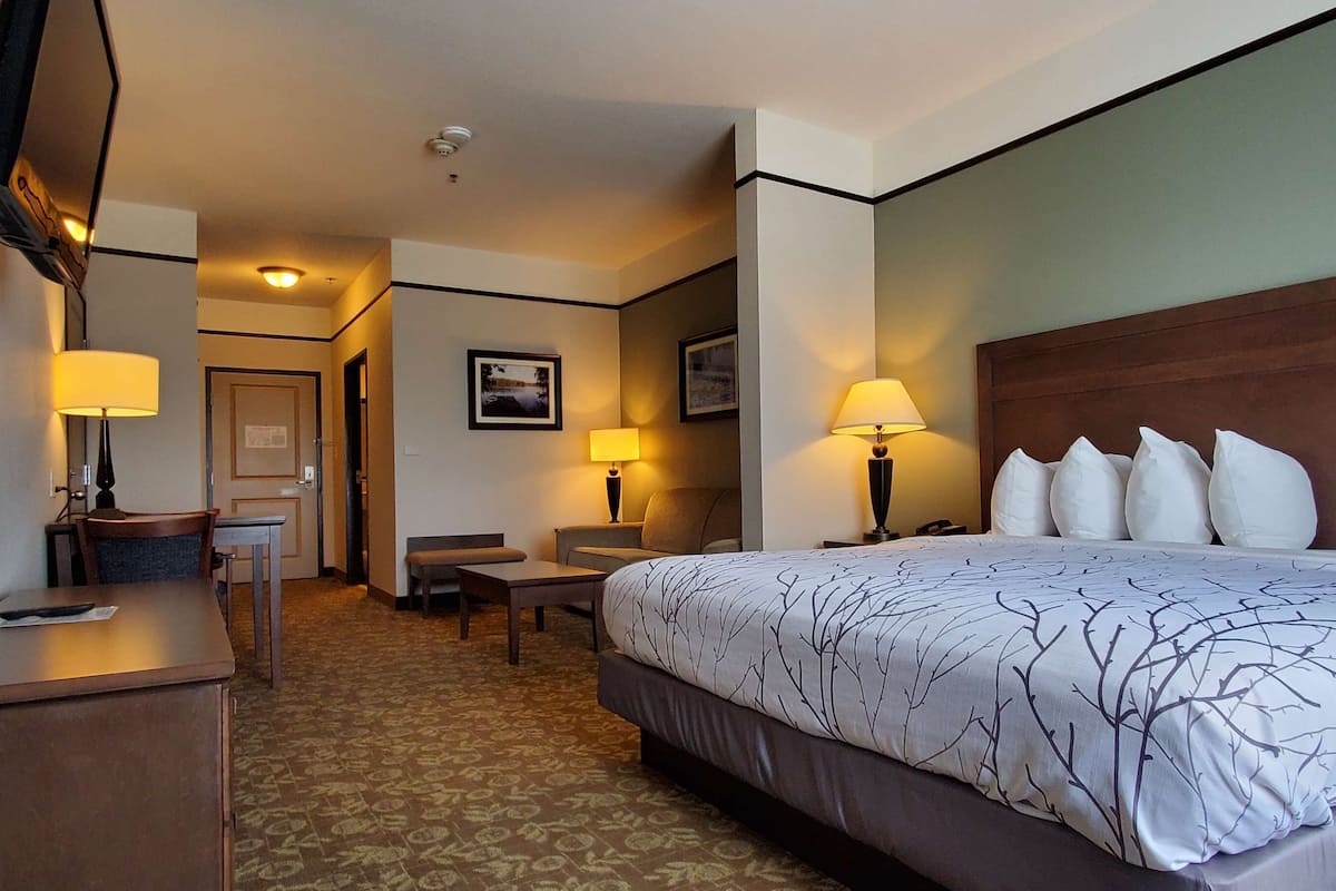 Una habitación de hotel con una cama grande, dos lámparas de noche, un escritorio y una silla.