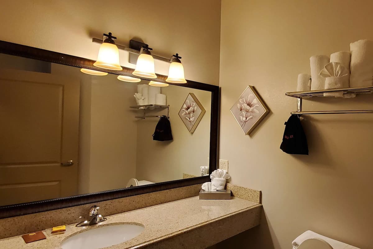 Un baño con lavamanos, espejo, toallero y estante para papel higiénico.