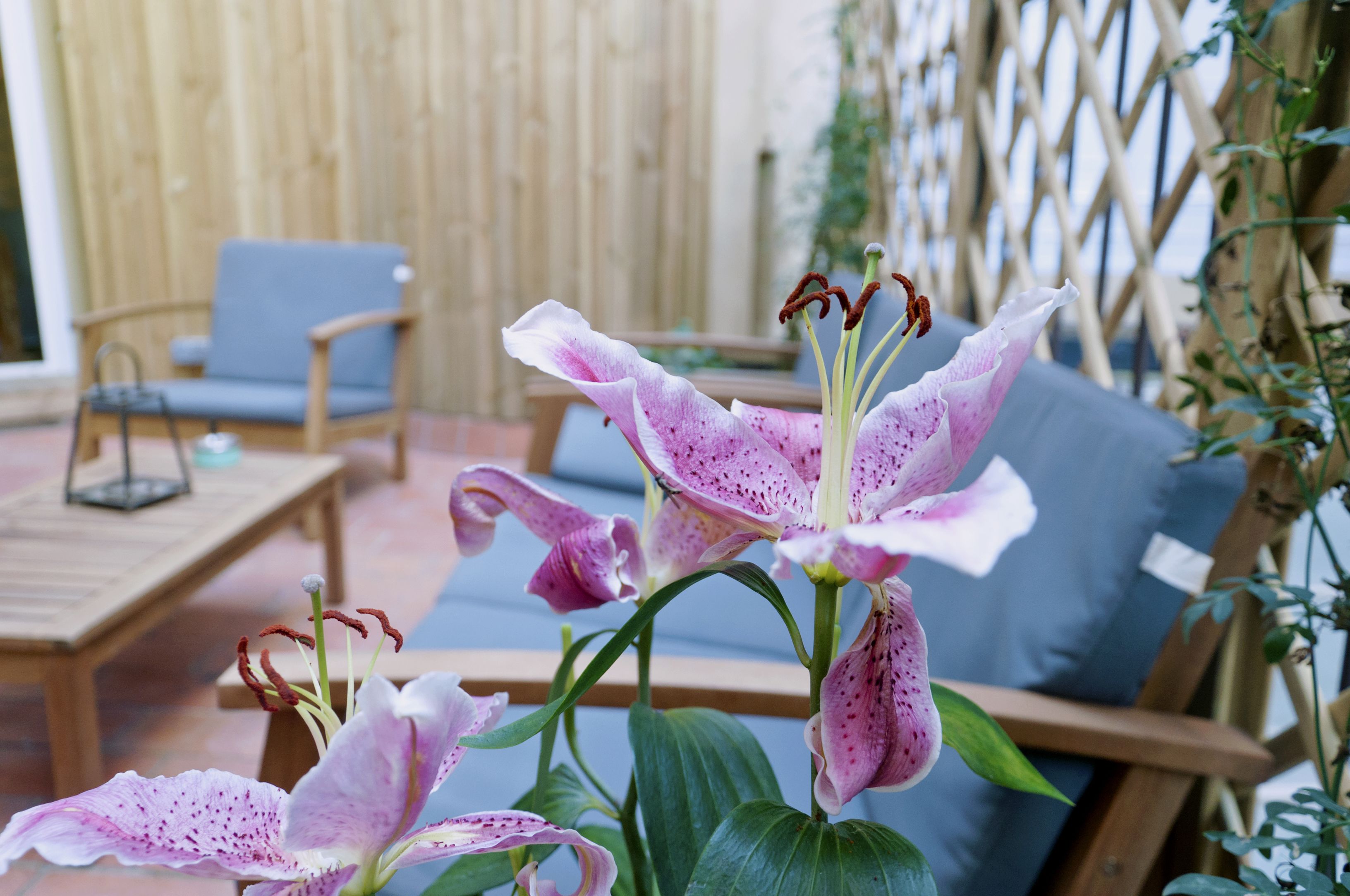 Foto - Cosmopolitan Boutique Rambla