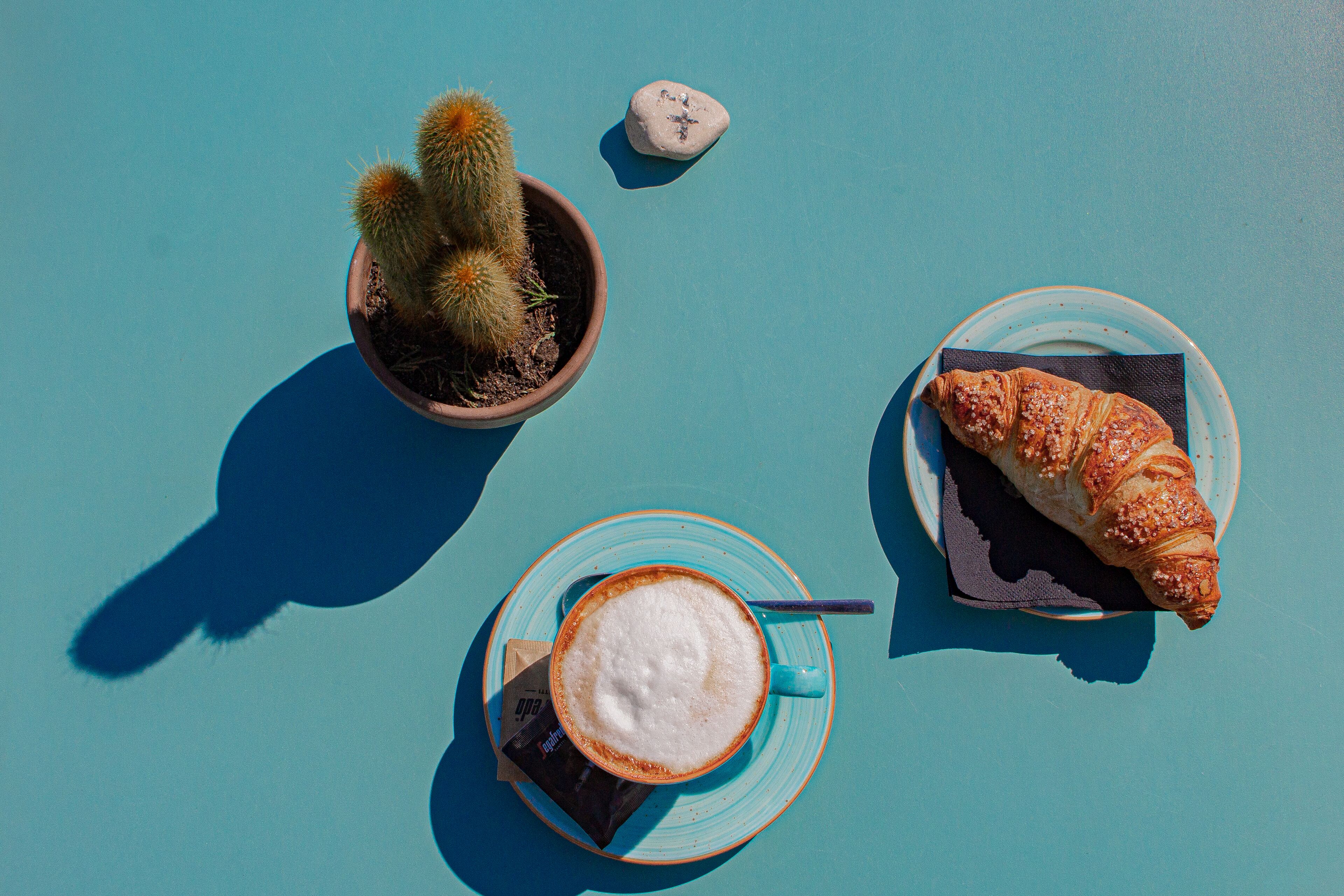 A cactus, a croissant, and a cup of coffee on a blue surface.