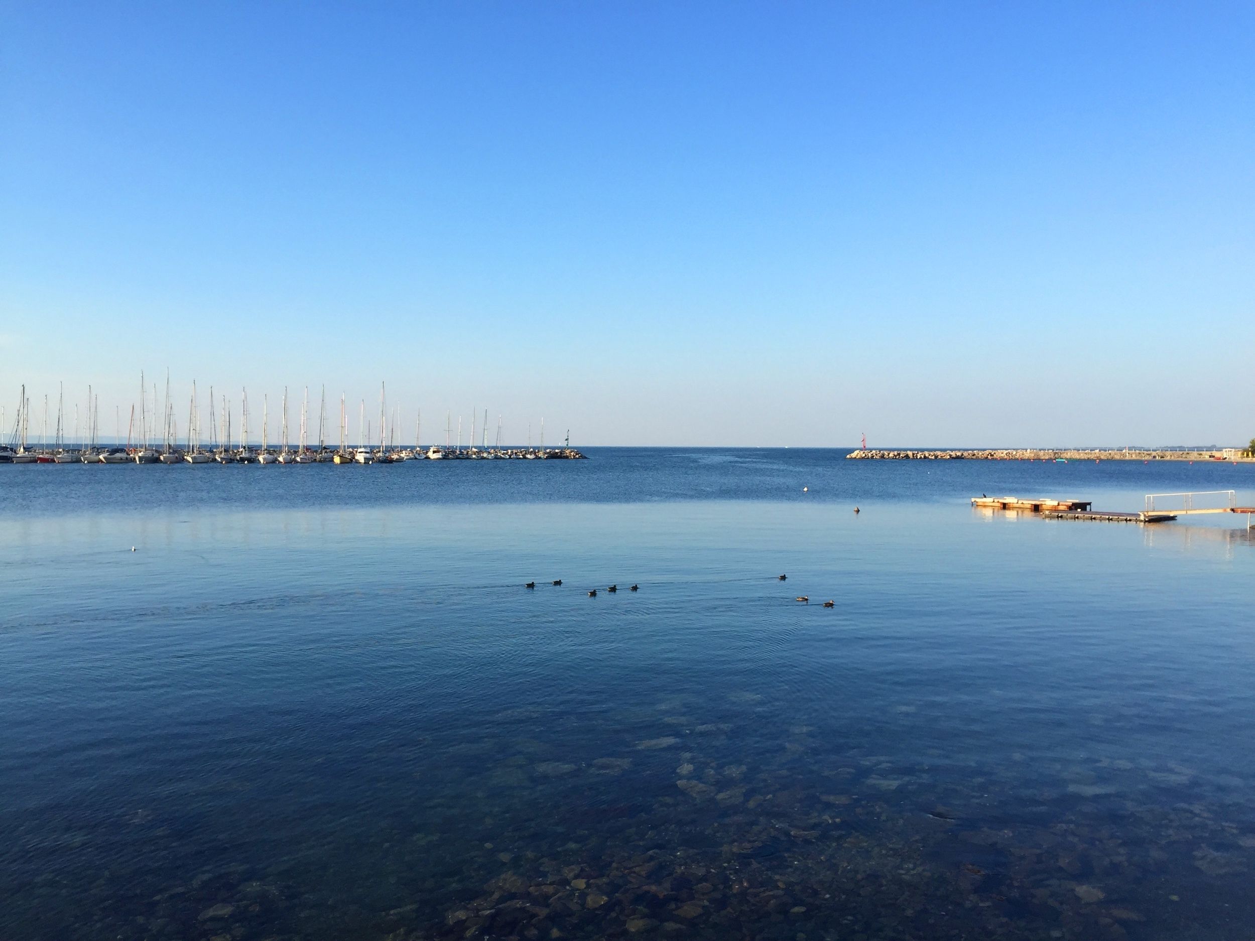 A marina with boats docked and a clear view of the water.