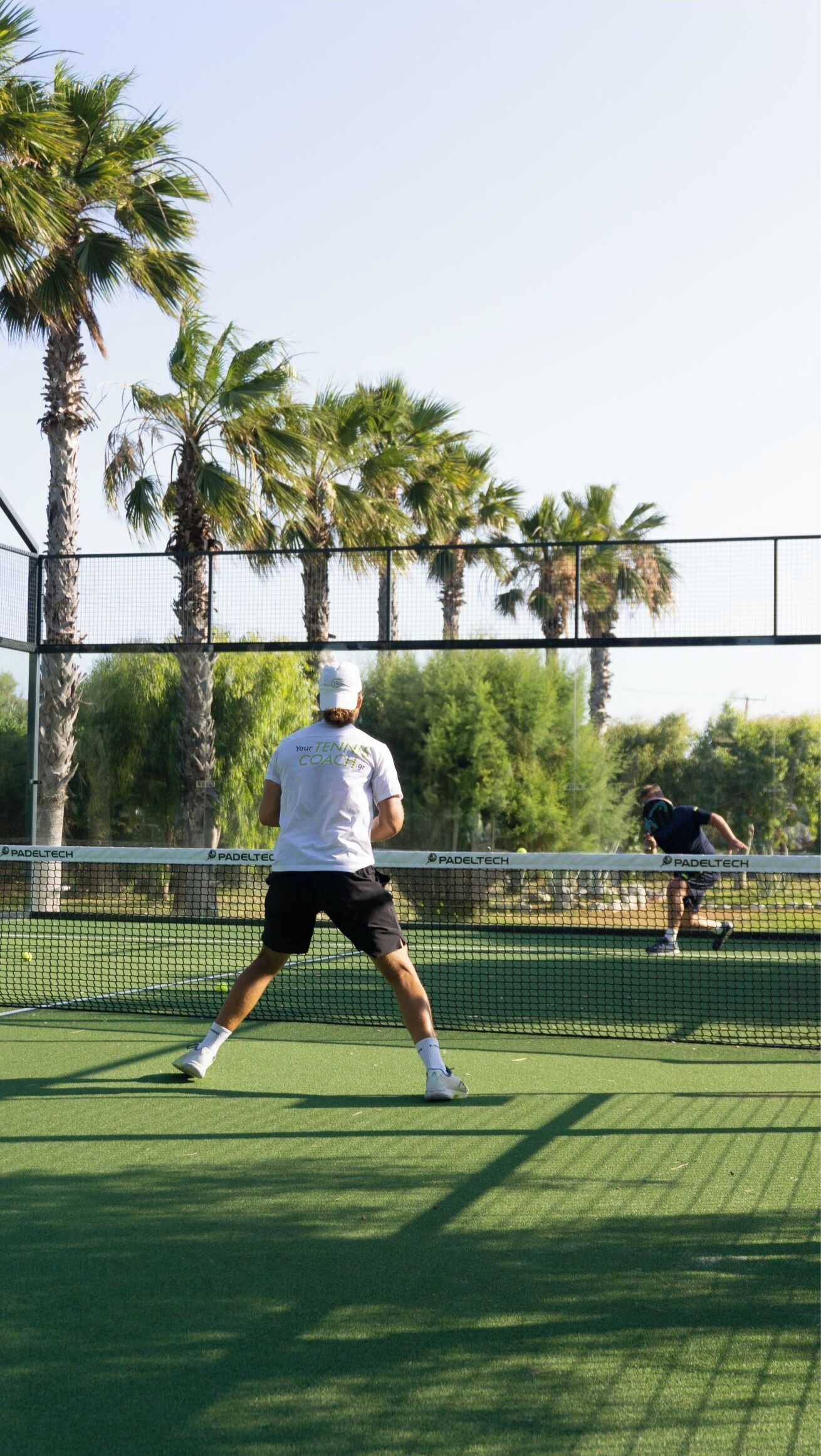 A tennis court with a net, surrounded by palm trees.