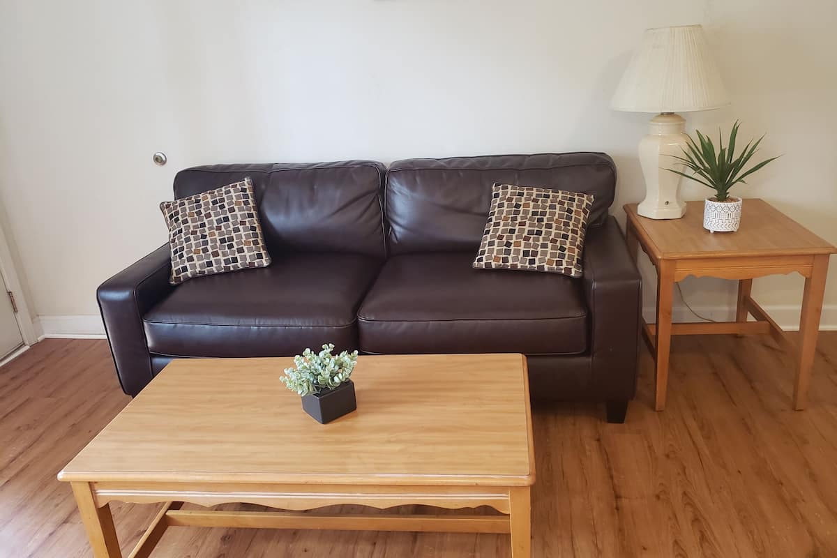 A brown leather sofa with patterned cushions, a wooden coffee table with a plant, and a small wooden side table with a lamp and a potted plant.