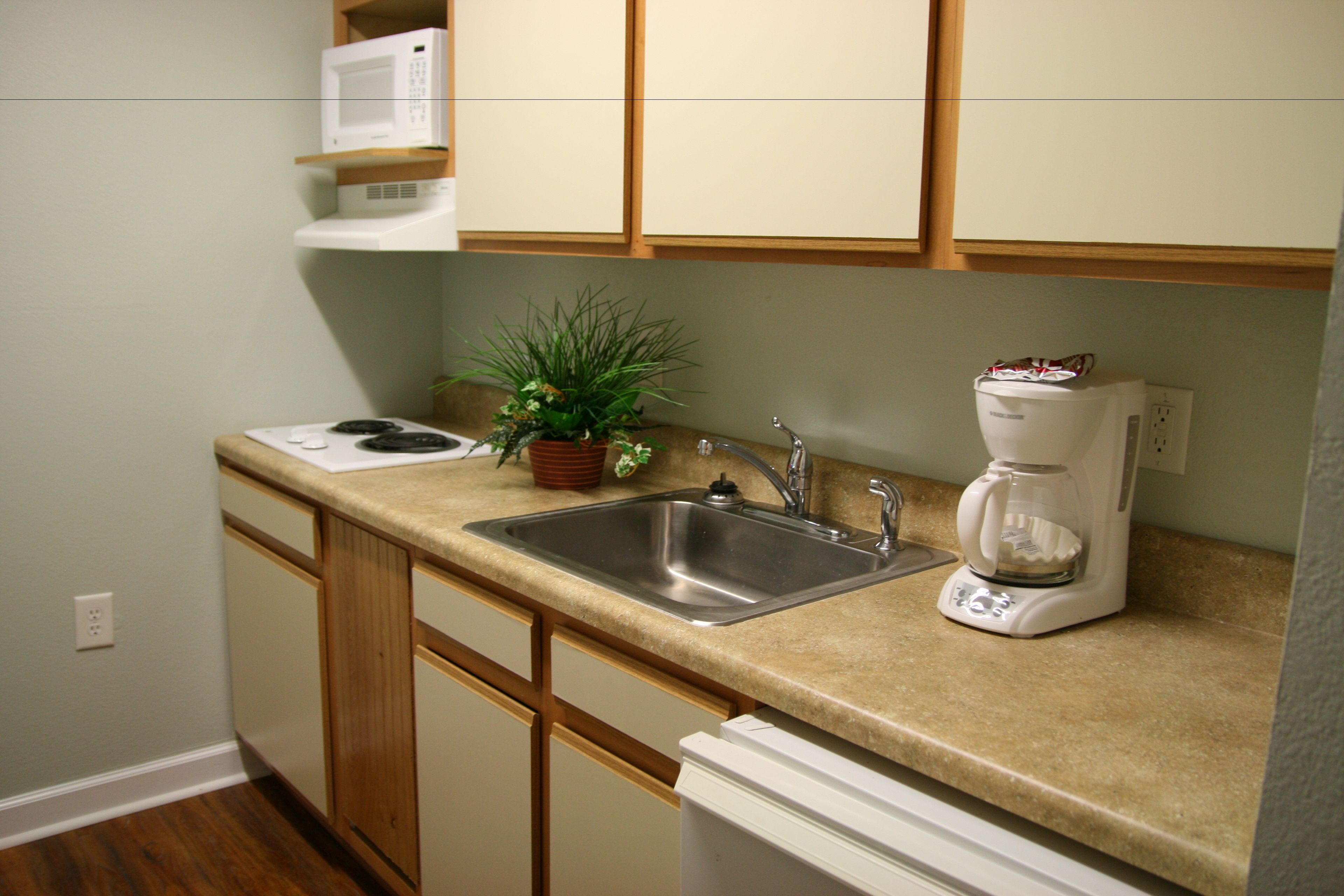 Mini-Suite | Private kitchen | Full-sized fridge, microwave, coffee/tea maker, toaster