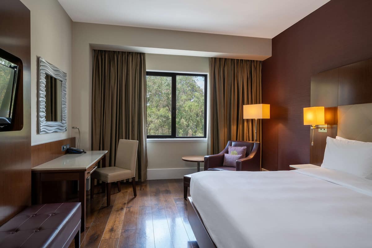 Premium bedding, pillow-top beds, minibar, in-room safe