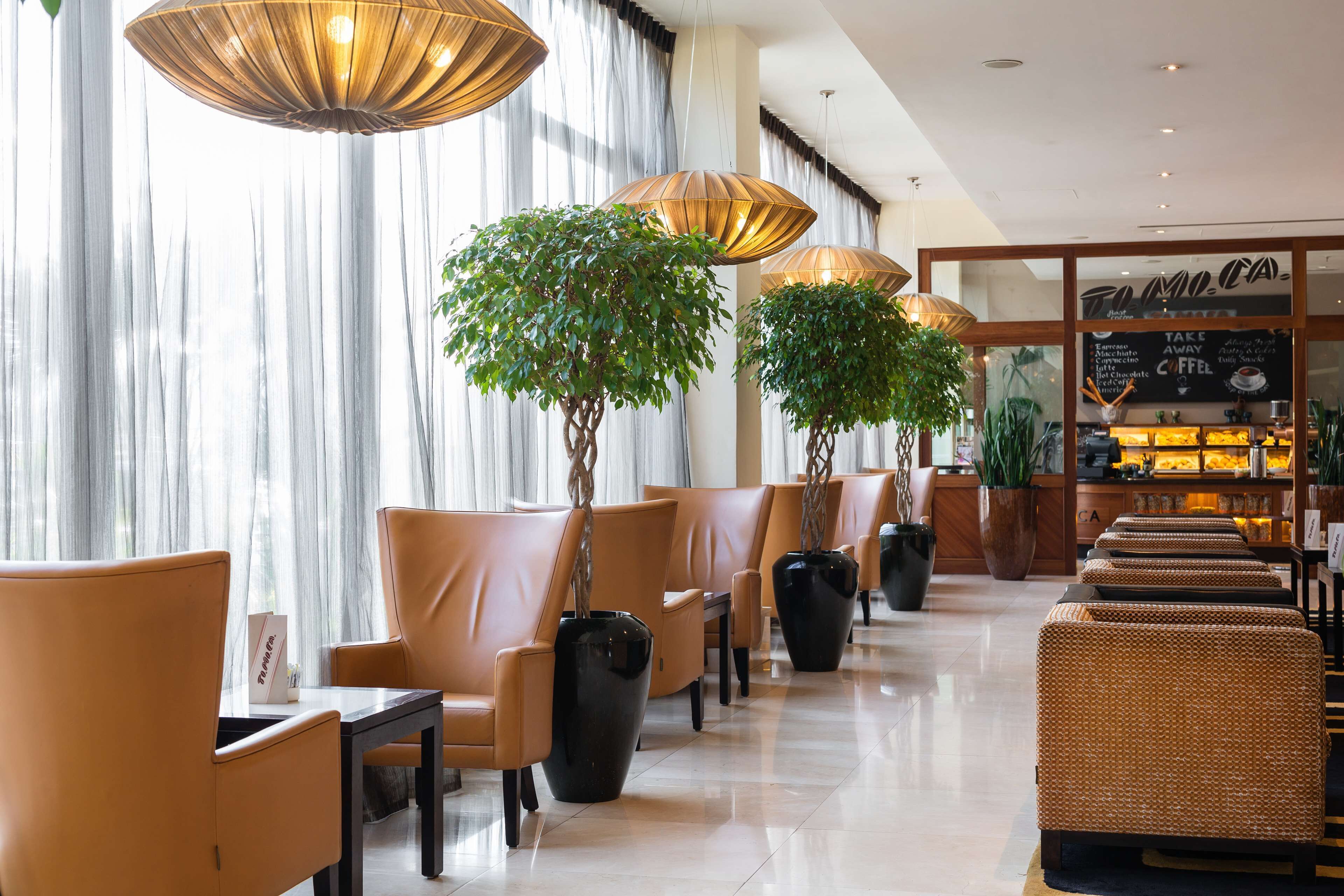 A hotel lobby with leather chairs, large potted plants, and a coffee bar.