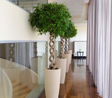 Body treatments, aromatherapy, deep-tissue massages, Swedish massages