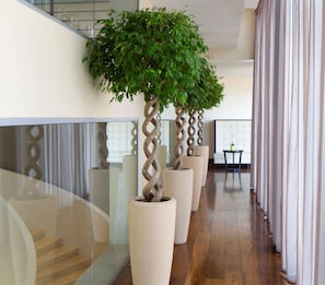 Soins corporels, soins d'aromathérapie, massages des tissus profonds