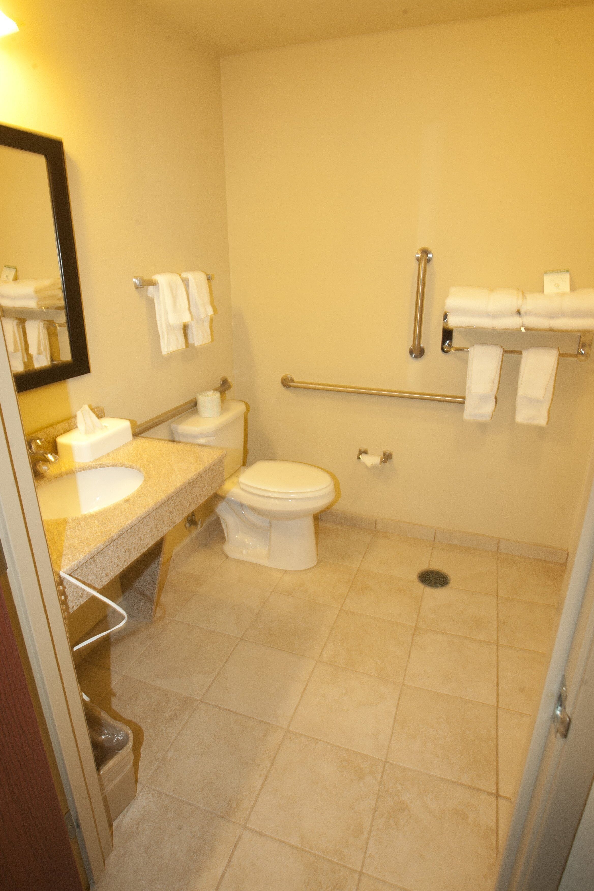 combined shower/bathtub, free toiletries, hair dryer, towels