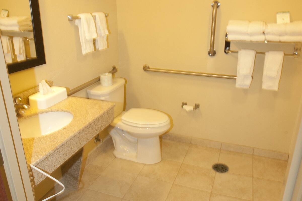 combined shower/bathtub, free toiletries, hair dryer, towels