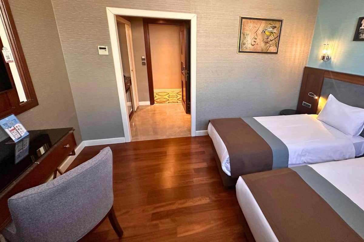 Economy Twin Room | Minibar, in-room safe, desk, laptop workspace