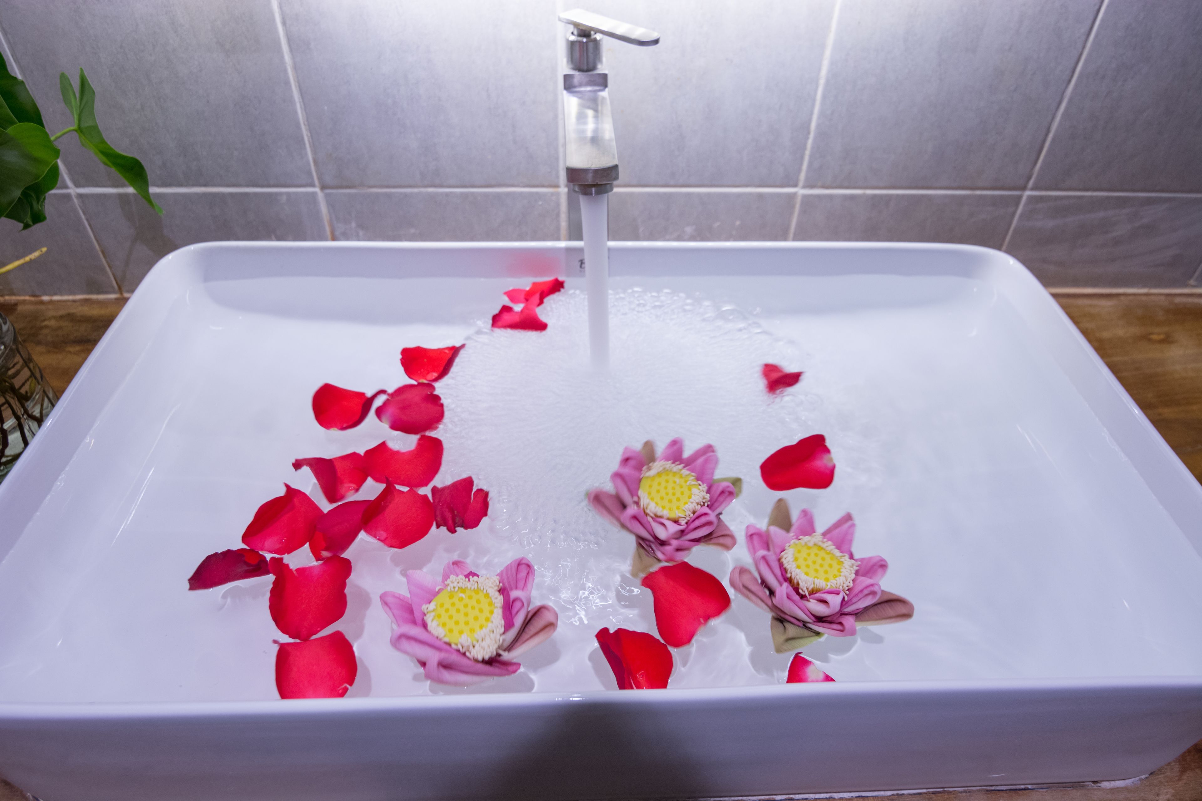 Foto - Neth Socheata Hotel