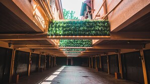 A spacious corridor with a high ceiling, featuring a green vertical garden and a row of closed doors on either side. - Hotel Ava Malate, Manila (Manila)