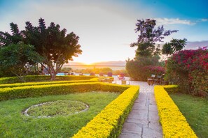 Garden - Manyara Lake View (Lake Manyara National Park)