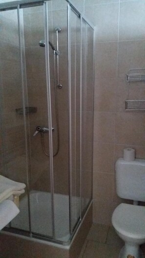 A glass-enclosed shower stall with a toilet and towel rack in a bathroom.