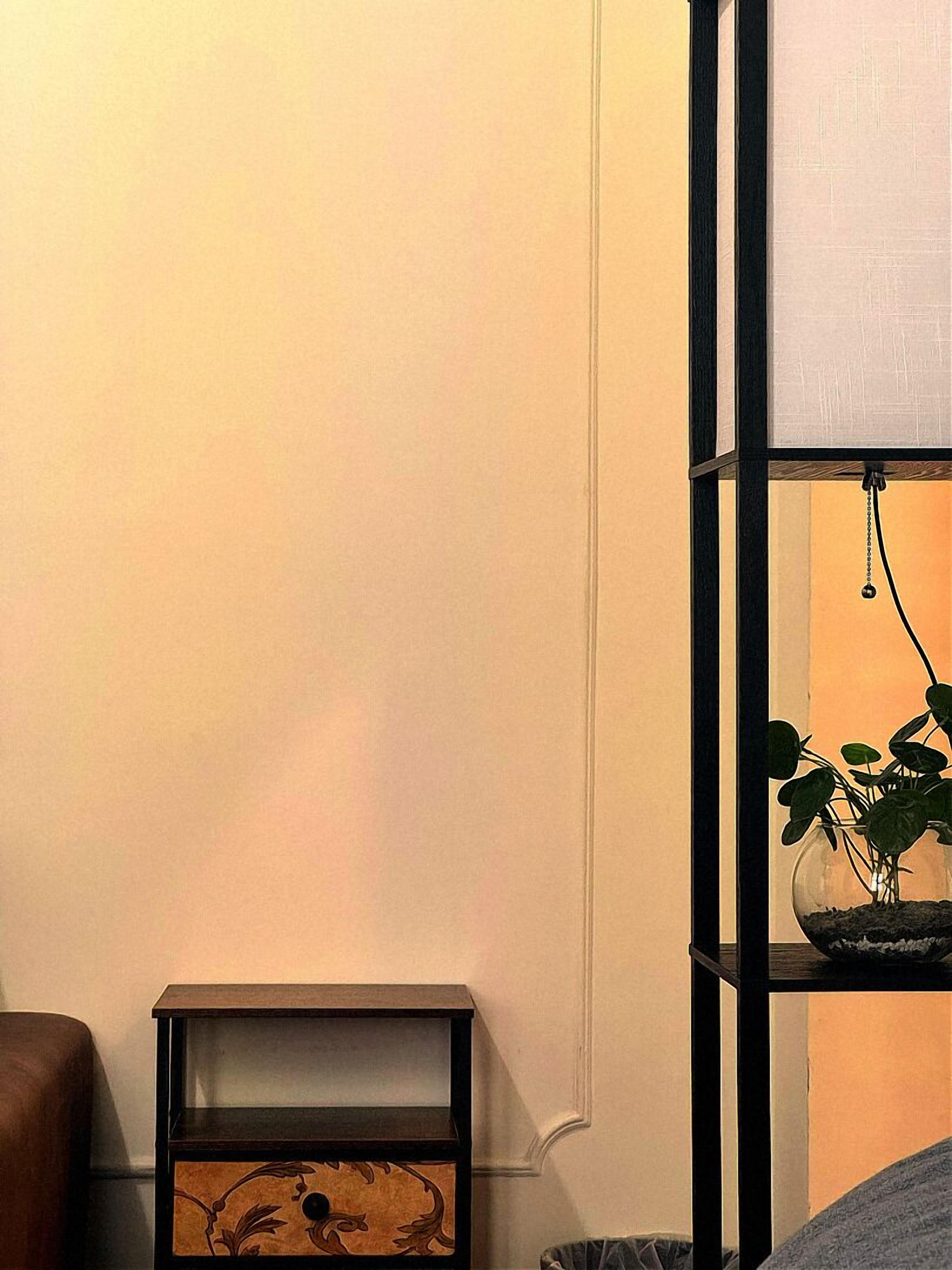 A room with a bed, a nightstand with a decorative box, a black metal shelf with a plant, and a wall with a textured finish.