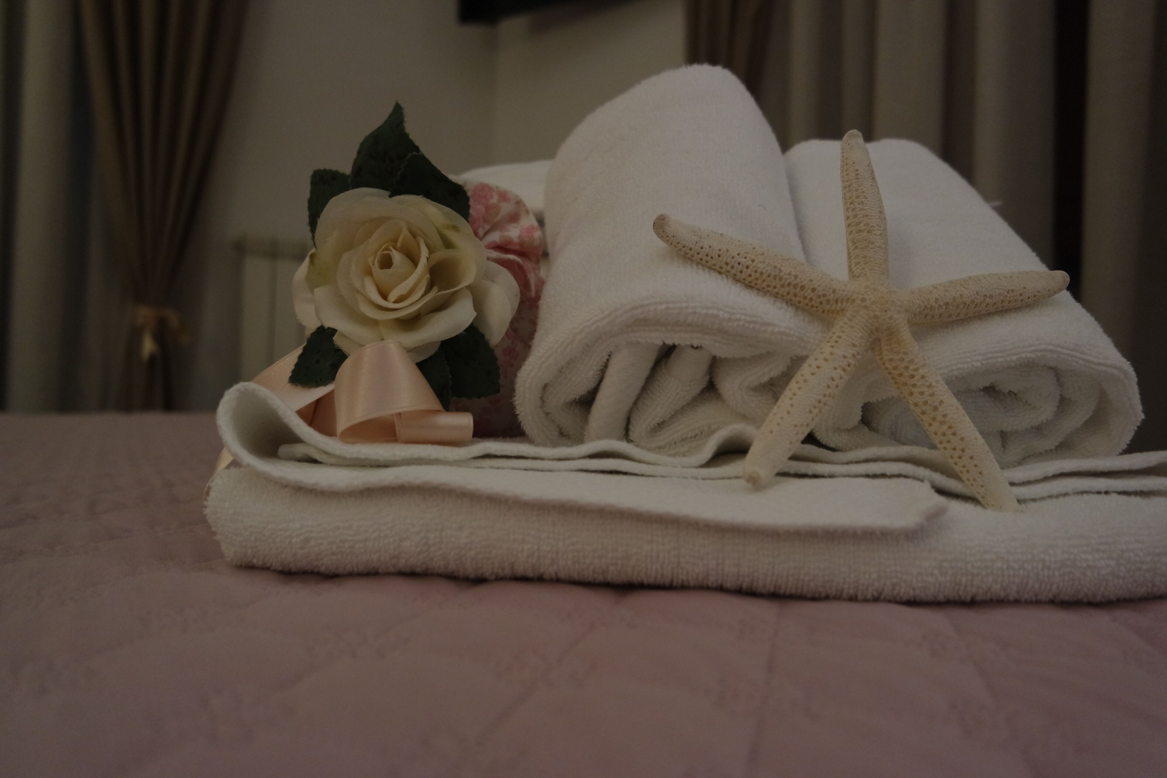 double or twin room | bathroom | shower, free toiletries, hair dryer, bidet