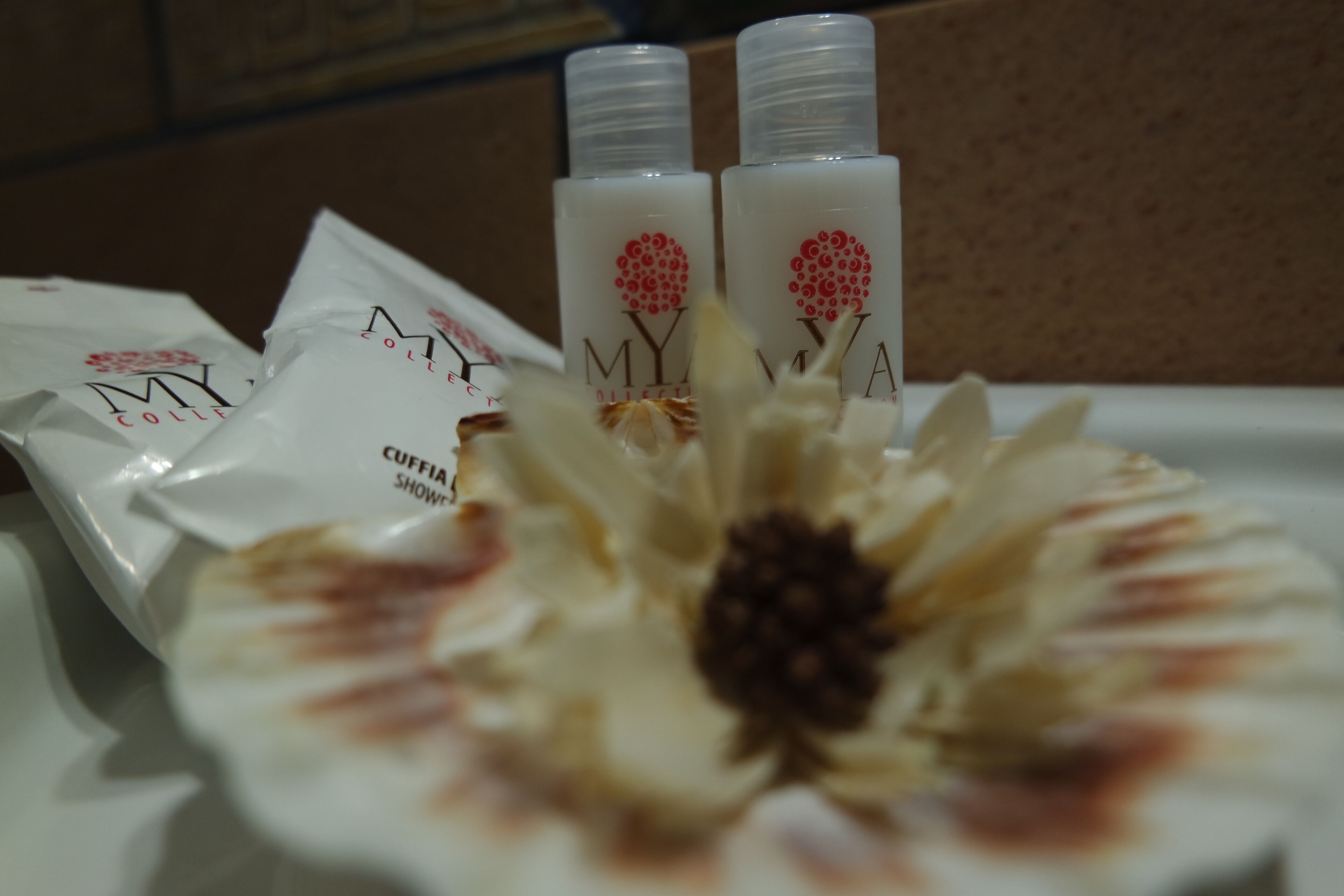 shower, free toiletries, hair dryer, bidet