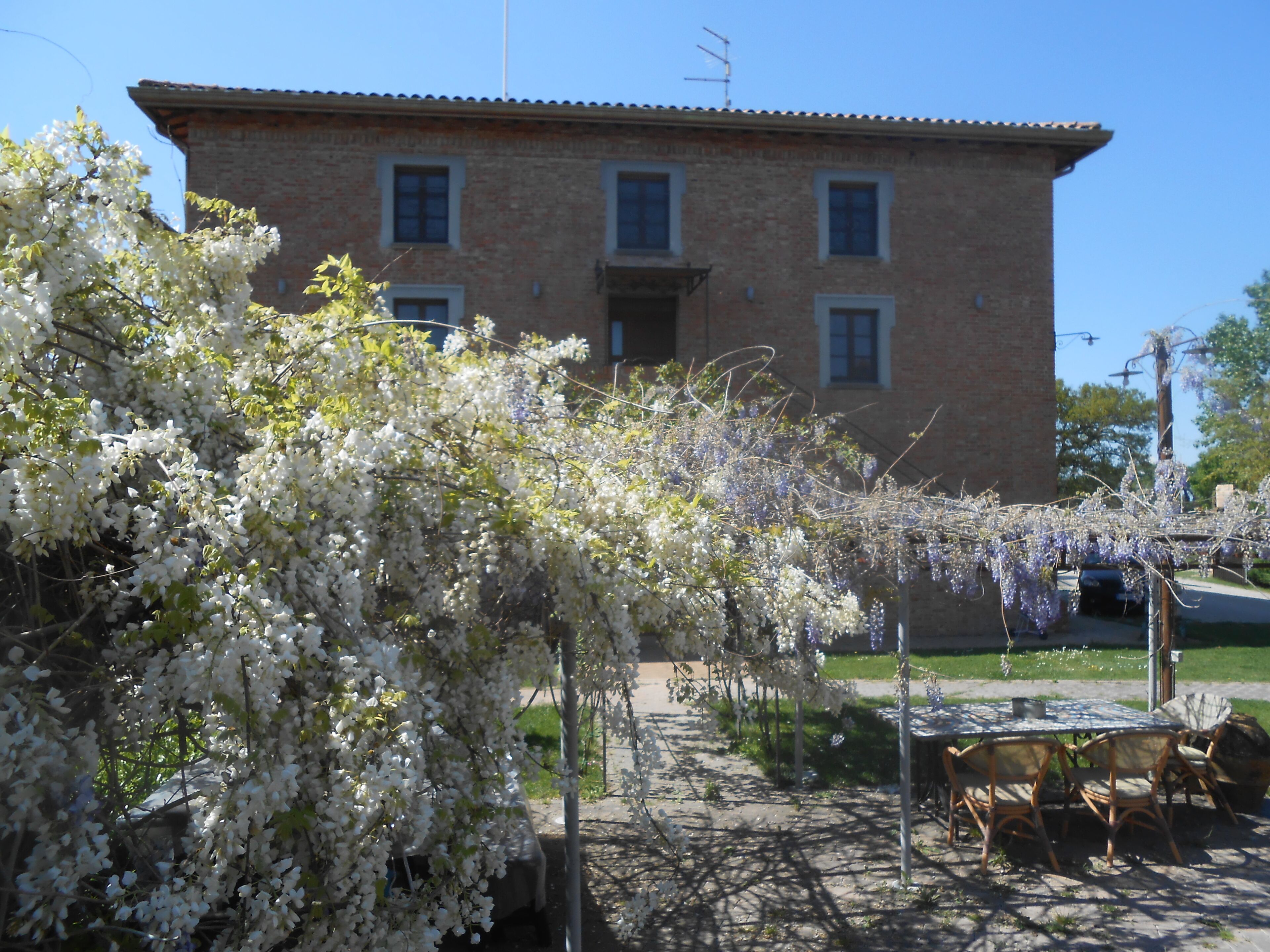 Triple Room | Garden view