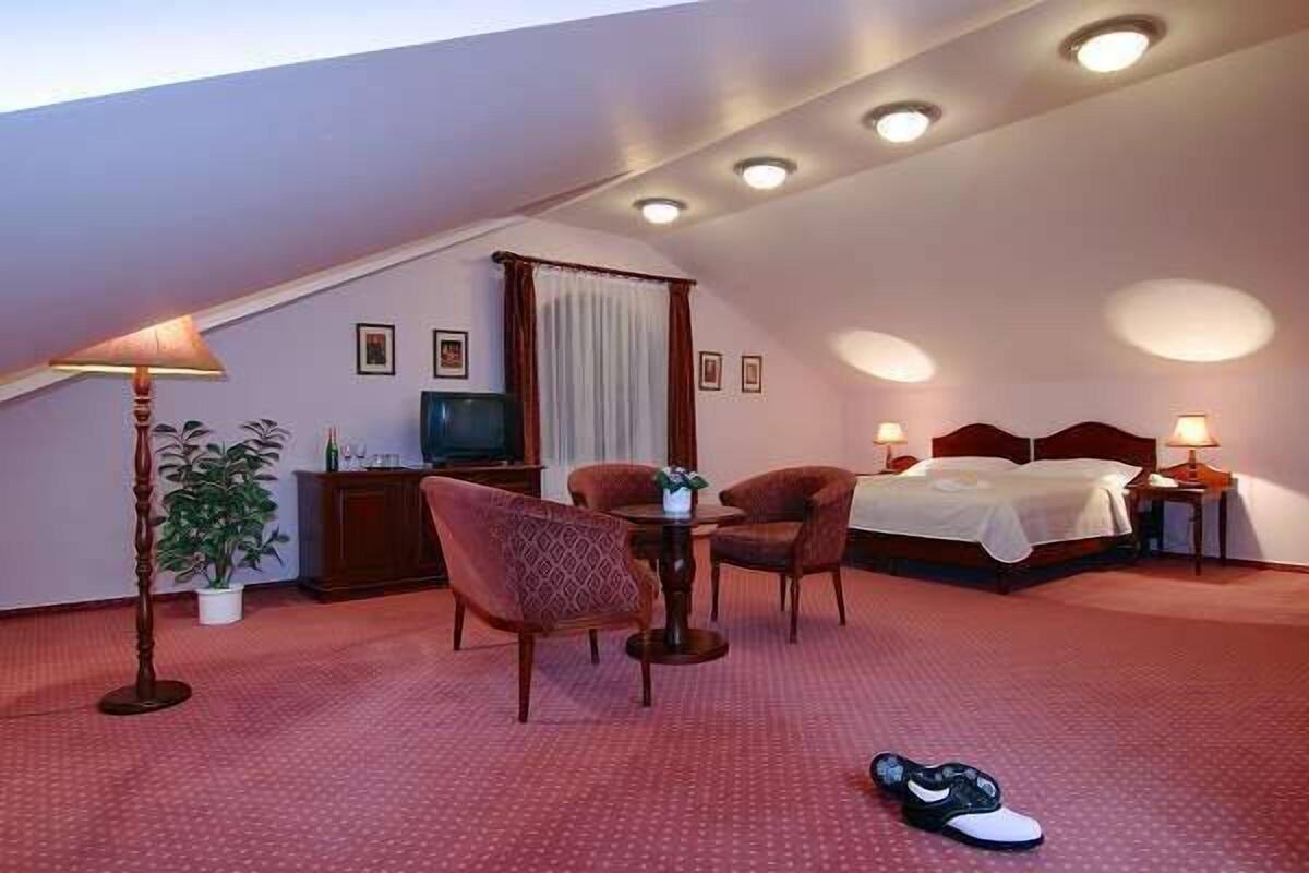 A hotel room with a bed, two chairs, a small table, a lamp, a TV, and a potted plant.