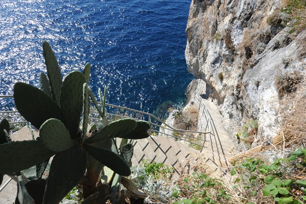 Property grounds - Hotel Torre Saracena (Praiano)