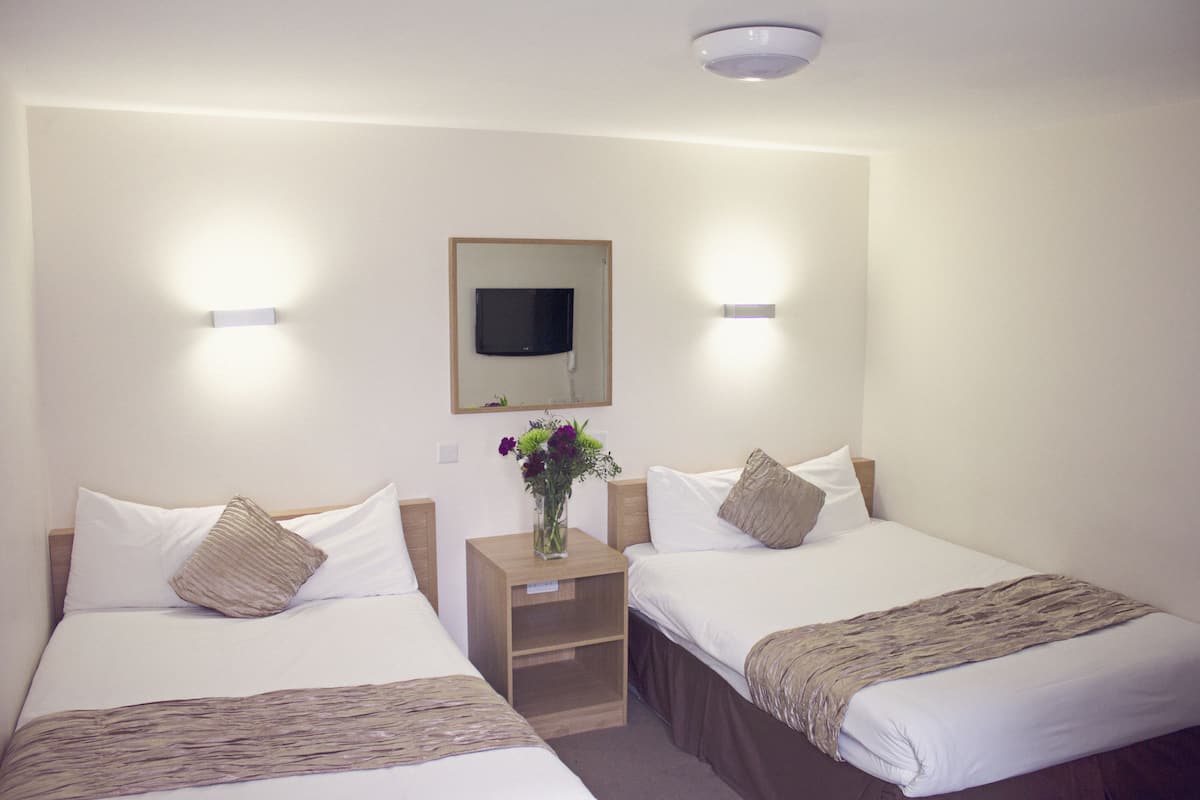 A hotel room with two single beds, a bedside table with a vase of flowers, a flat-screen TV mounted on the wall, and a ceiling light fixture.