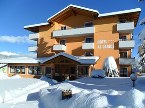 Property entrance - Hotel e Appartamenti Al Larice (Ronzone)