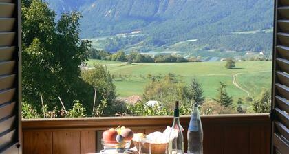 Hotel e Appartamenti Al Larice